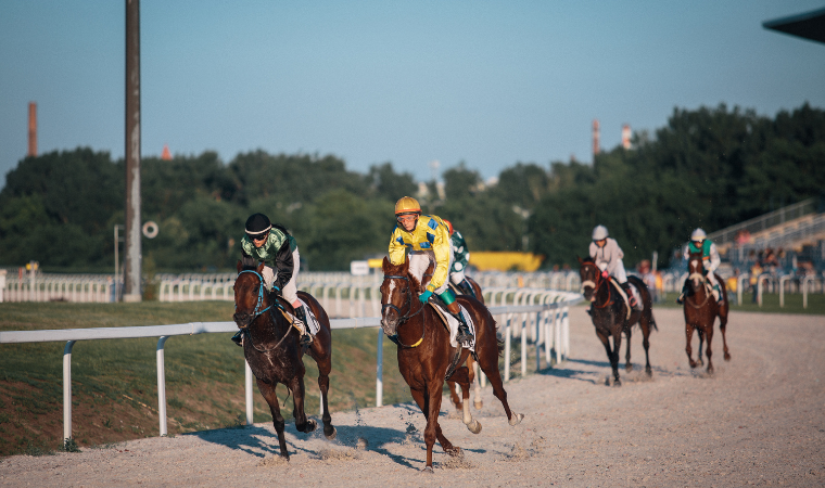 race horse names