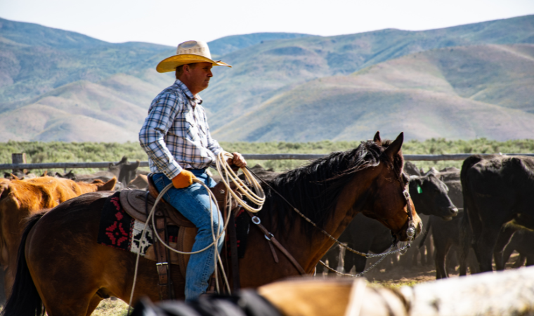 cowboy horse names